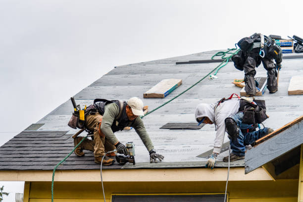 Professional Roof Replacement technician working in Olema, CA